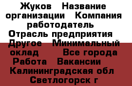Жуков › Название организации ­ Компания-работодатель › Отрасль предприятия ­ Другое › Минимальный оклад ­ 1 - Все города Работа » Вакансии   . Калининградская обл.,Светлогорск г.